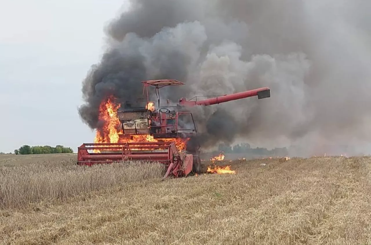 Kombajn Massey Ferguson płonie jak zapałka [FILM]