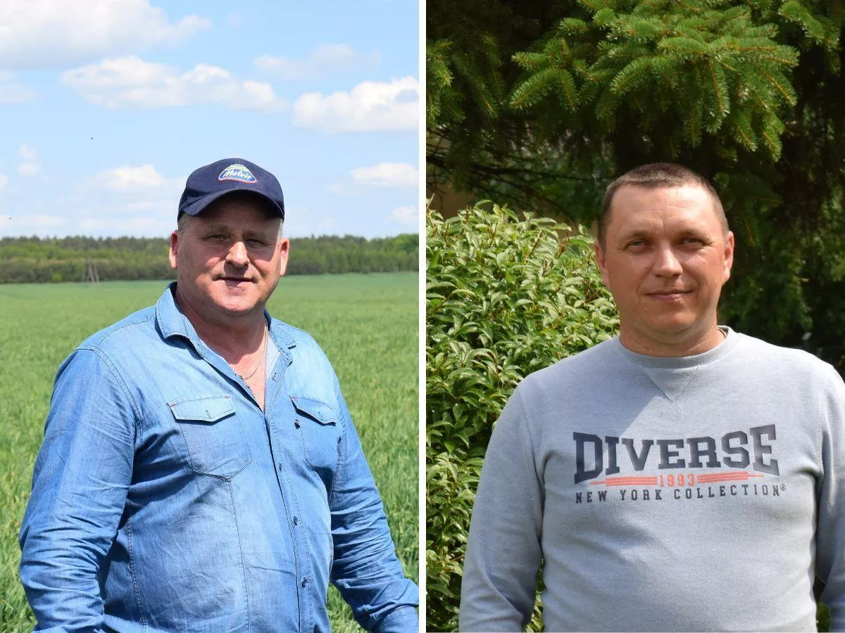 Prawie 12 ton z hektara. Rolnicy z Mazur pokazują potencjał jęczmienia