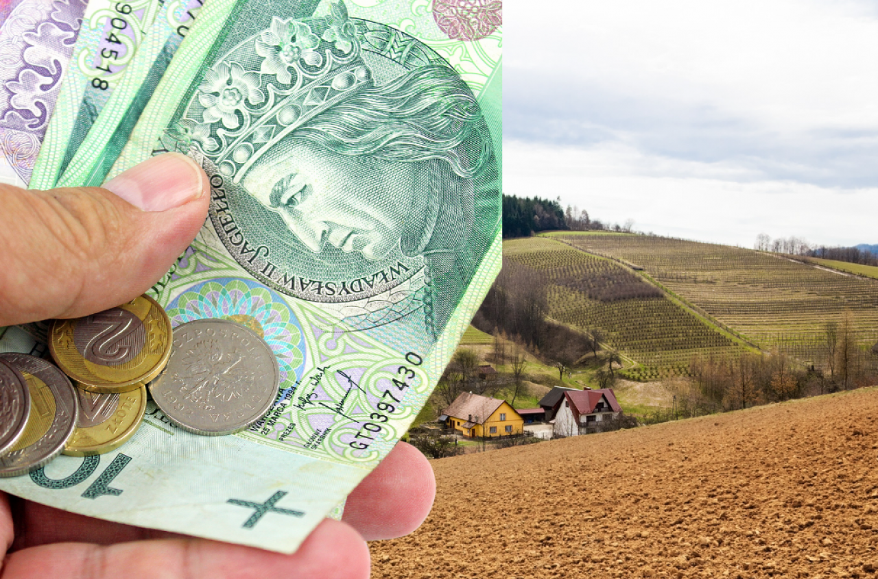 Dopłaty bezpośrednie: ARiMR wykryła różnice w hektarach. Co grozi rolnikowi?