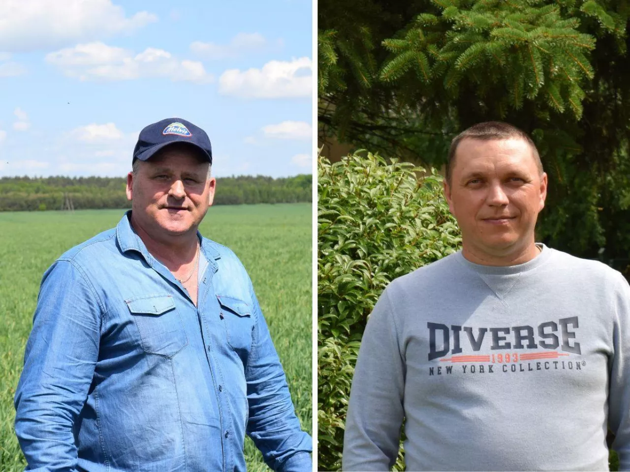 Rolnicy z Mazur pokazują potencjał jęczmienia ozimego