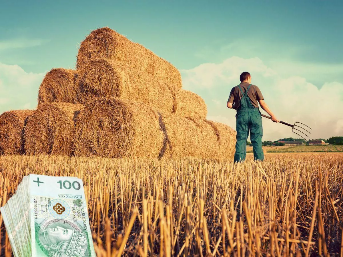 Dotacje z ARiMR. Rolnicy dostaną informację zwrotną
