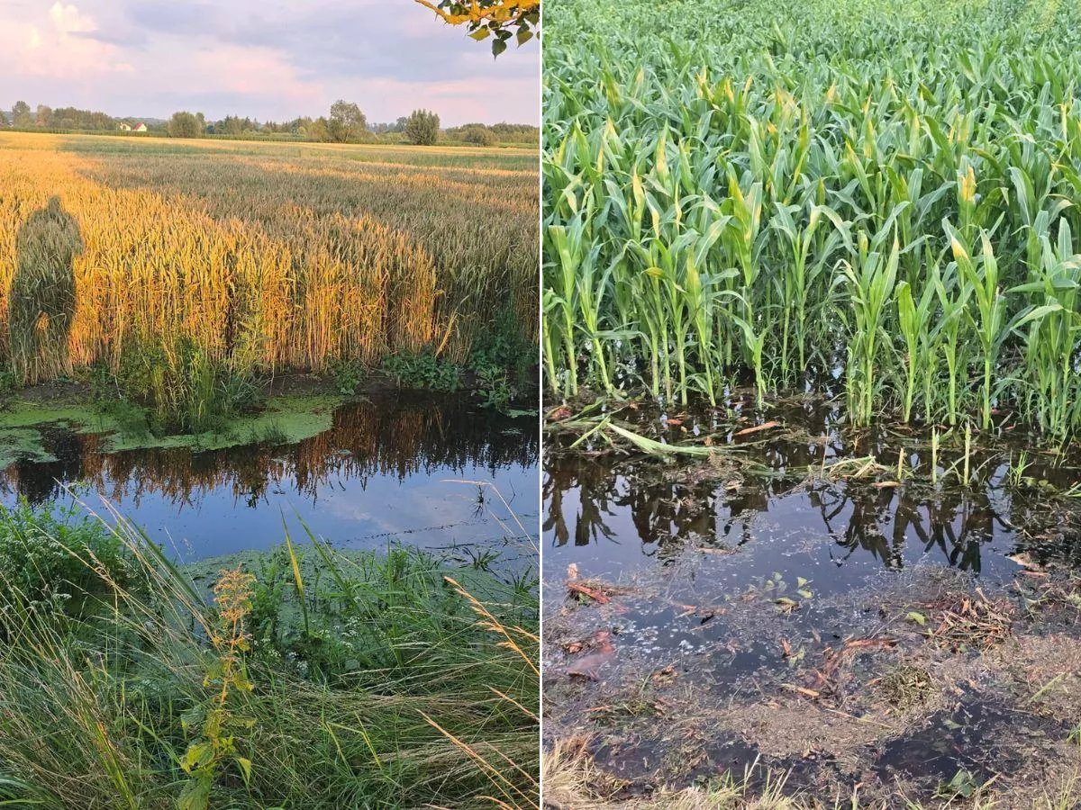 Wakacje kredytowe dla rolników. Na jakich warunkach i dla kogo?