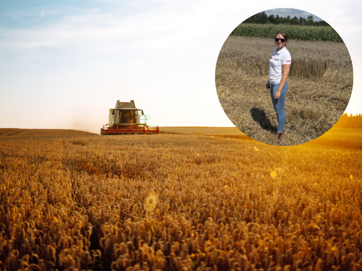 KE chce drastycznej redukcji emisji. Bryłka: "To absurdalne i niszczące europejskie rolnictwo"