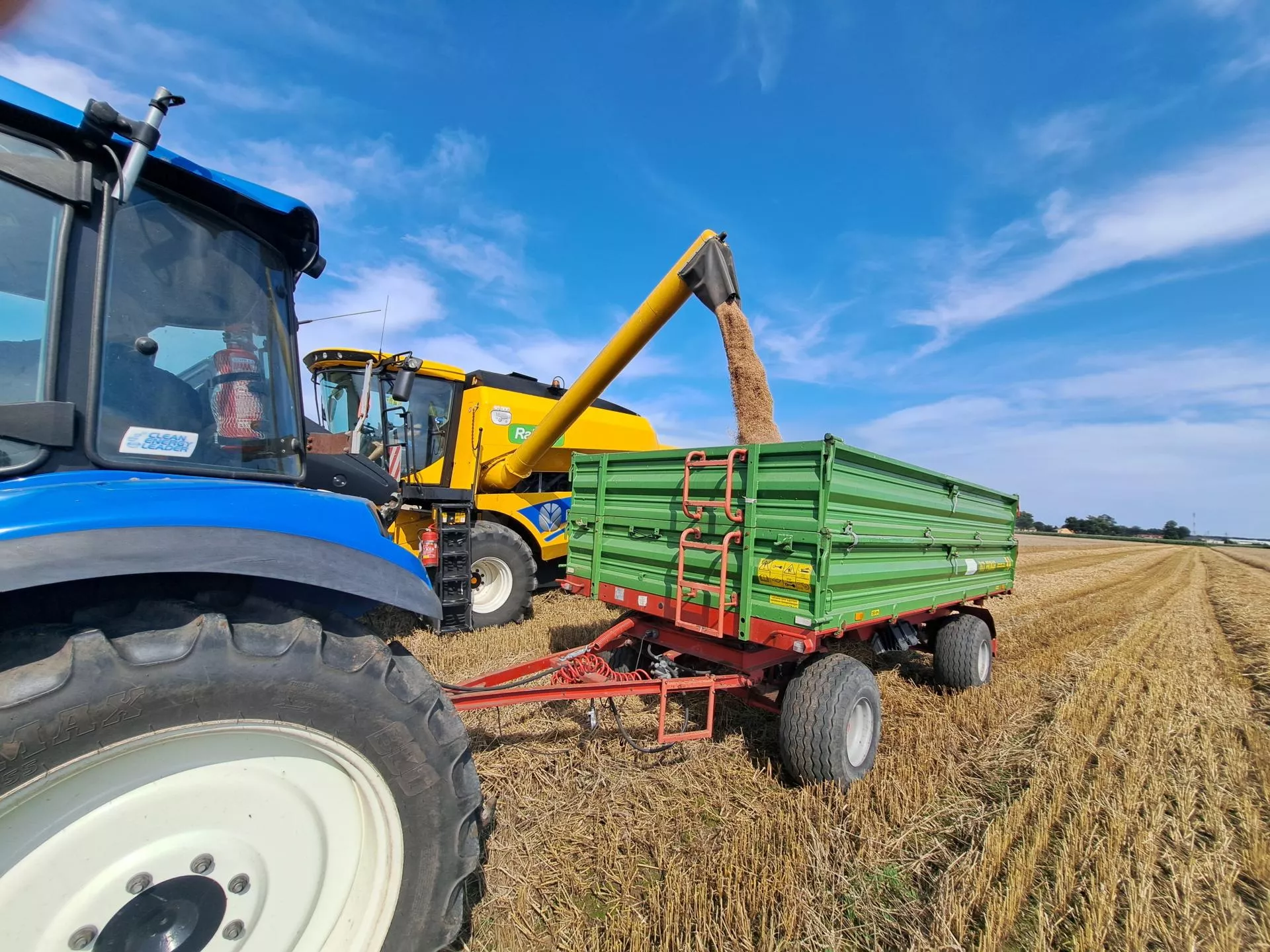 Ceny zbóż lecą w dół. Szans na odbicie nie widać