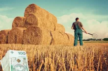 ARiMR będzie informowała rolników w sprawie ich wniosków