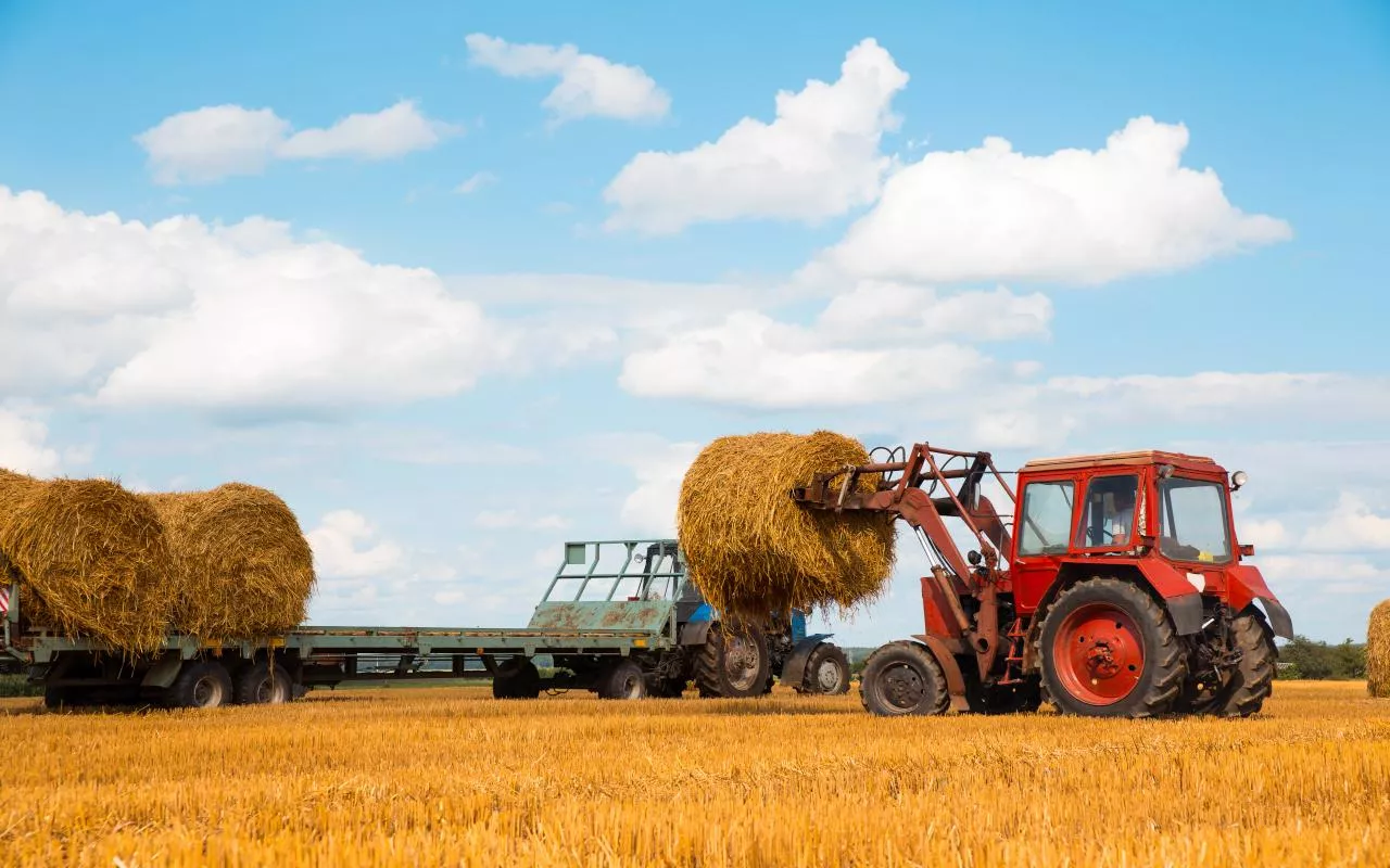 Ciągnik z belą słomy podczas żniw w Europie Środkowo-Wschodniej