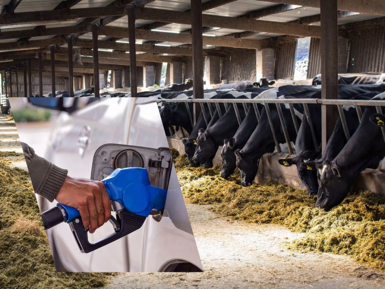 Nie będzie więcej środków finansowych na paliwo w przeliczeniu na 1 DJP.