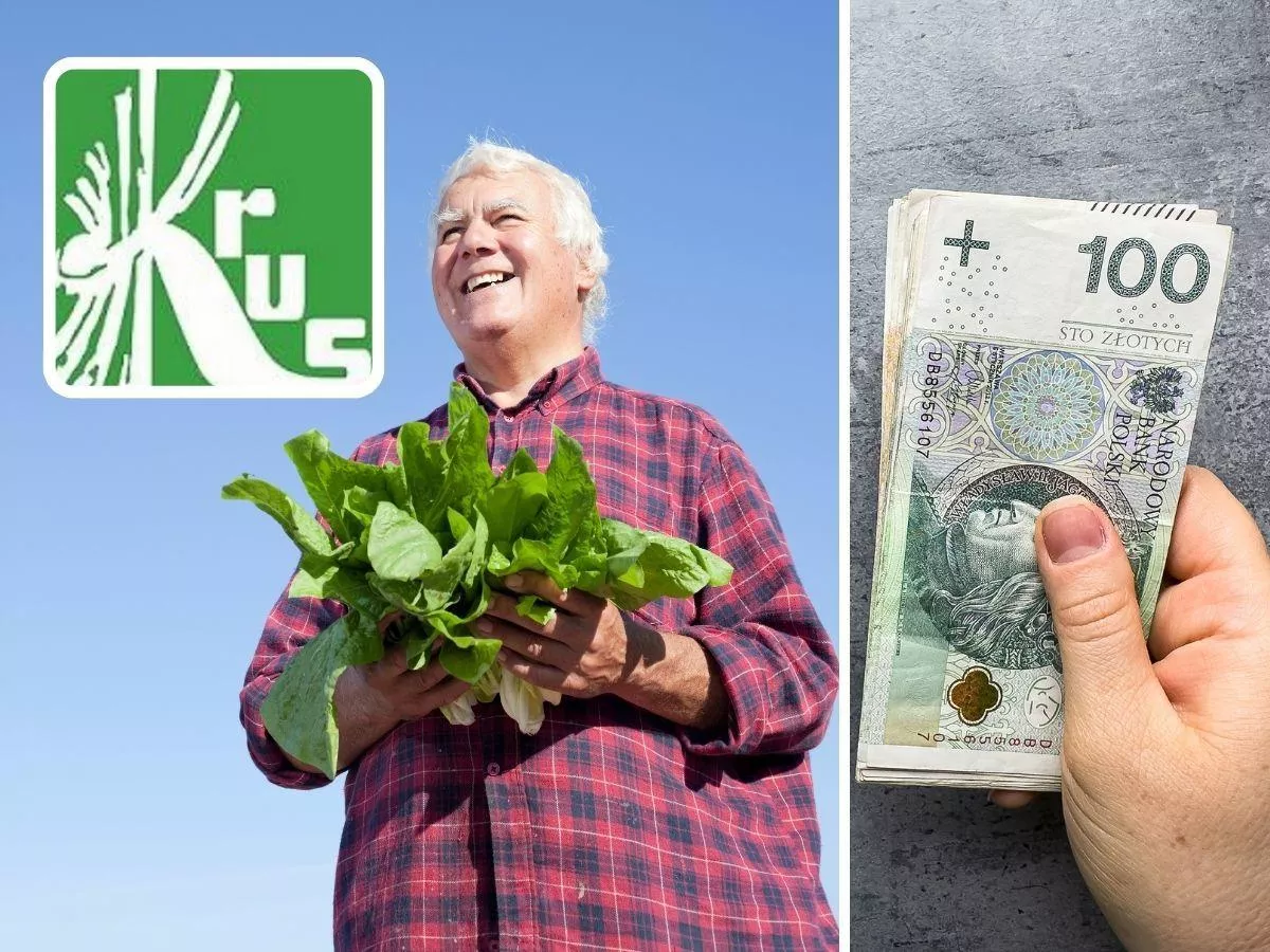 Renta chorobowa a prowadzenie gospodarstwa: jak nie stracić świadczenia?