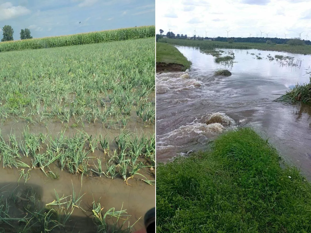 Żuławy bez stanu klęski żywiołowej. MRiRW tłumaczy, dlaczego