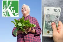 Renta chorobowa a prowadzenie gospodarstwa: jak nie stracić świadczenia?