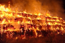 Około 600 balotów spowitych płomieniami