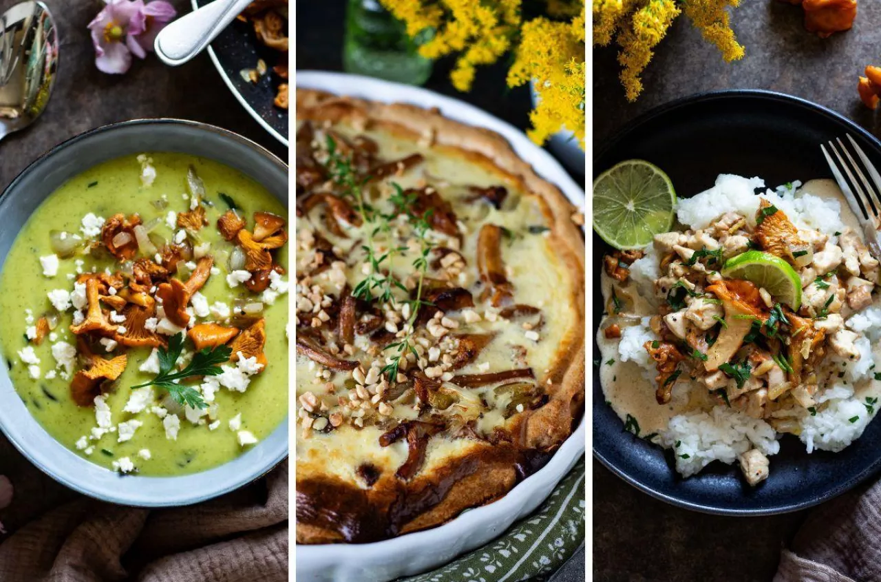 3 pyszne przepisy na dania z kurkami