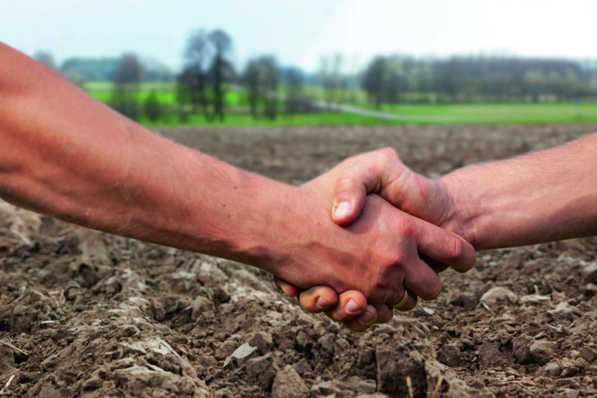 Umowa ustna do kosza? MRiRW robi porządek z dzierżawami gruntów rolnych