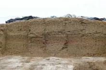 Regularna kontrola temperatury kiszonki pozwala zmniejszyć ryzyko podania zwierzętom zepsutej paszy