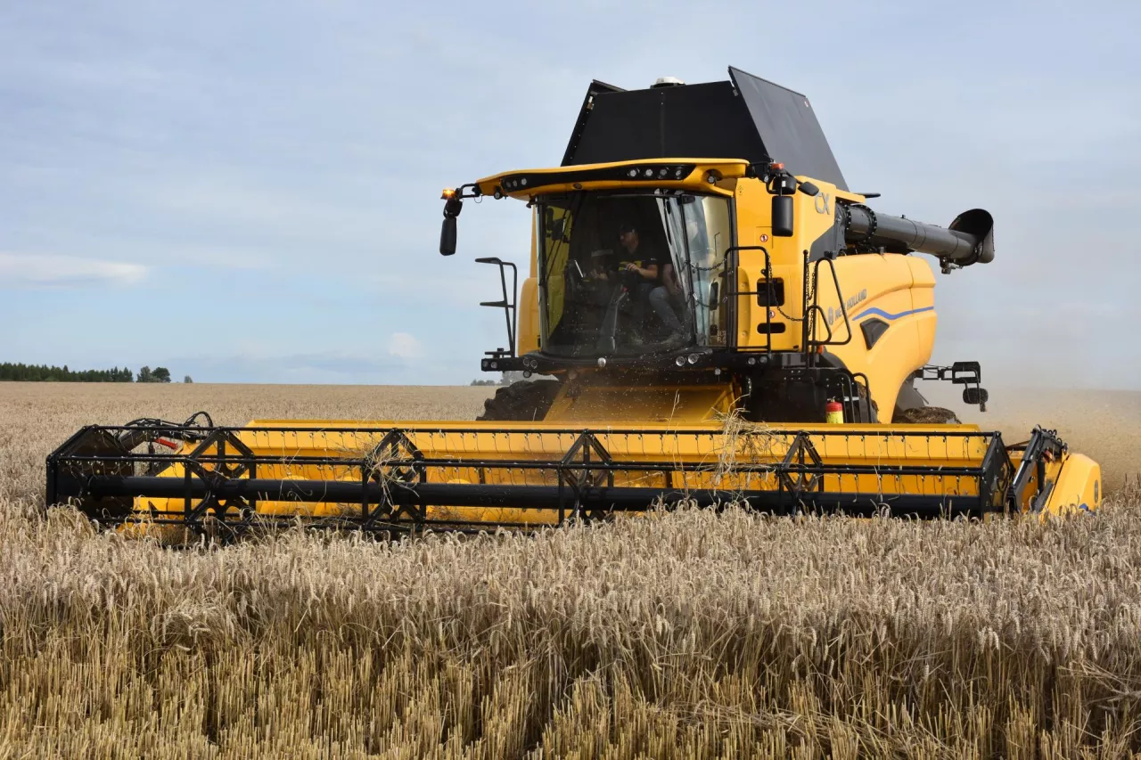 Pierwszy egzemplarz kombajnu CX 8.9 pracuje już w Polsce. To maszyna pokazowa. Nowa wersja dostępna będzie w sezonie sprzedażowym 2026 r.