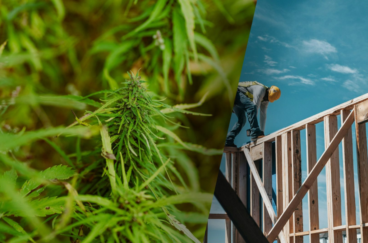 Dom ze słomy i konopi? Polska może być liderem ekobudownictwa