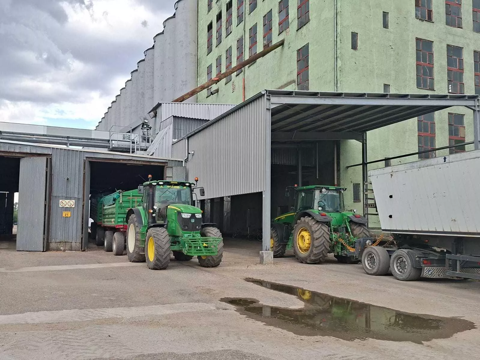 Pszenica tańsza choćby o 50 zł. Jakie są ceny zbóż i rzepaku? [SONDA]