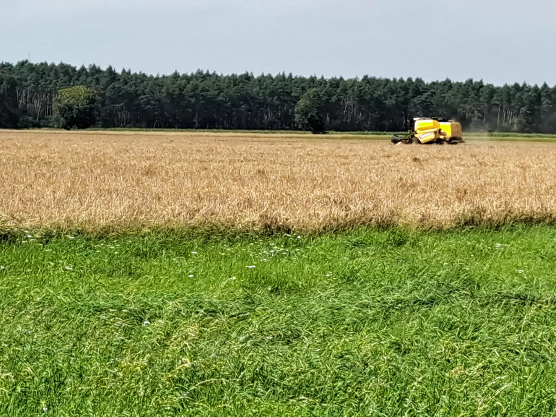 Koniec sąsiedzkich umów „na gębę”. Dzierżawa ziemi tylko na papierze