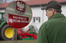 Po ilu latach rolnicy przechodzą na emeryturę? Ile dostają? KRUS ujawnia dane