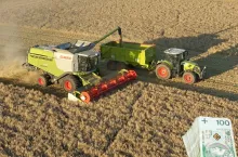 Rolnik dokłada 600 zł do hektara pszenicy. Żniwa 2025 na minusie