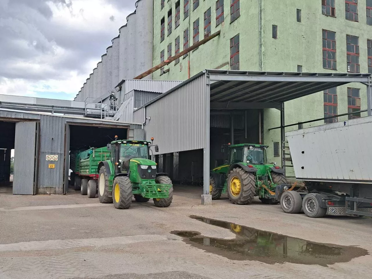 Jakie są ceny zbóż i rzepaku?