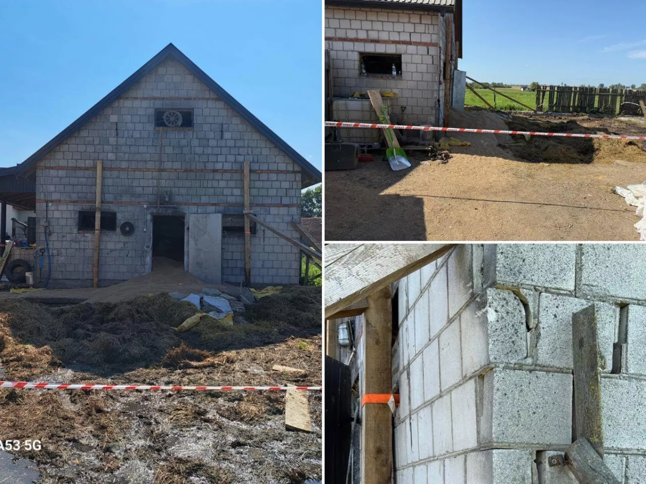 Strop obory runął na bydło. 19 zwierząt pod gruzami [FOTO]