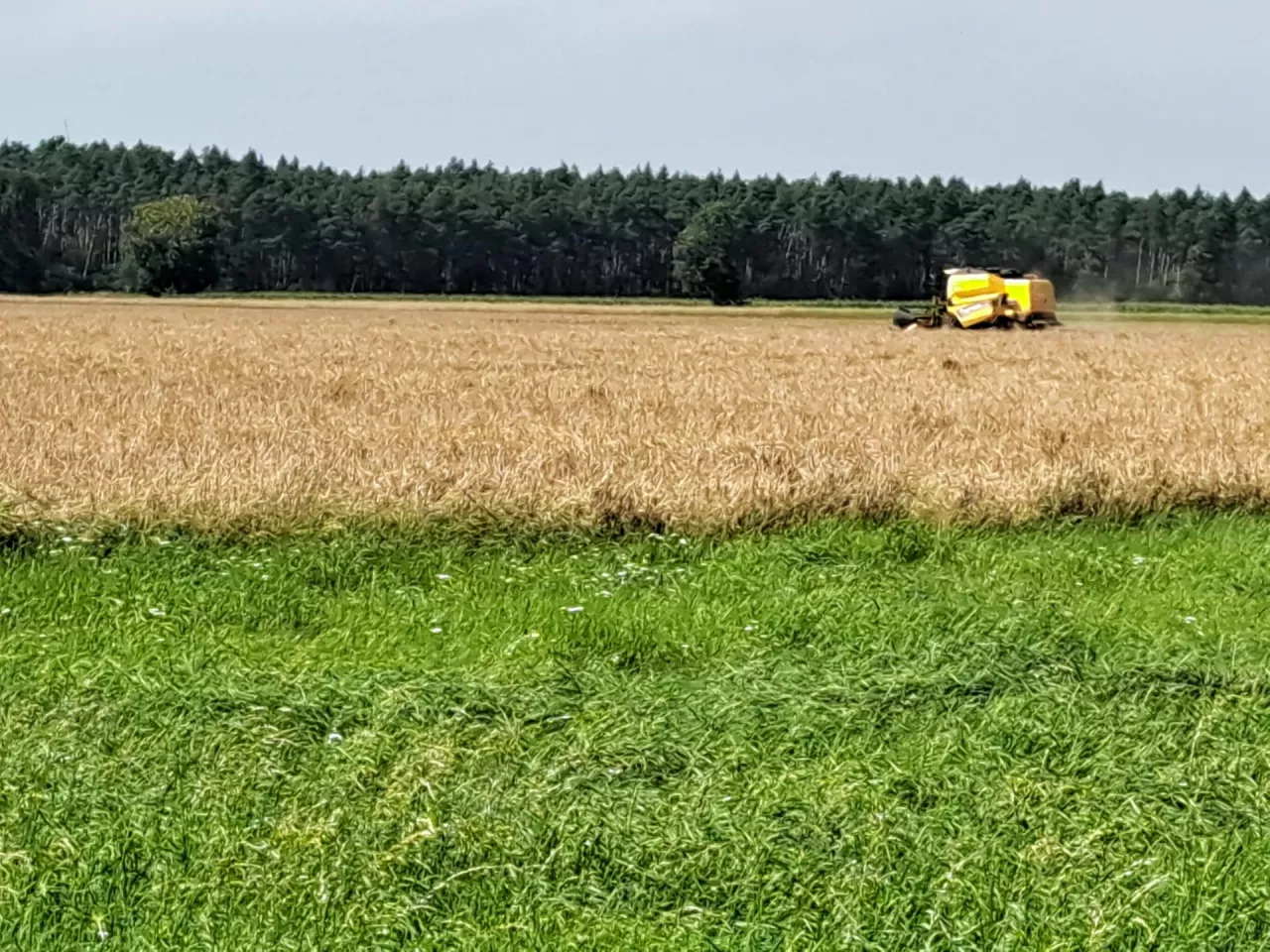 Udział gospodarstw oddających ziemię w dzierżawę, w gospodarstwach do 5 ha wzrósł z 17% w 2011 r. do 38% w 2020 r. Z kolei pośród gospodarstw o powierzchni 10–15 ha użytkujących ziemię własną i dzierżawioną, udział dzierżaw wzrósł z 22% w 2011 r. do 46% w 2020 r., a o pow. 15–20 ha z 34% do 62%