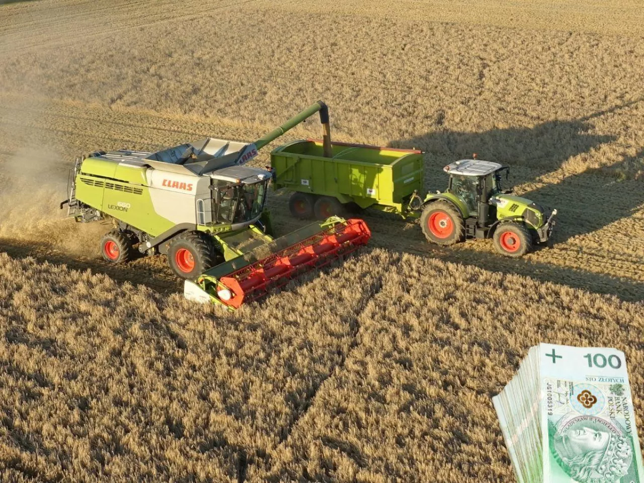 Rolnik dokłada 600 zł do hektara pszenicy. Żniwa 2025 na minusie