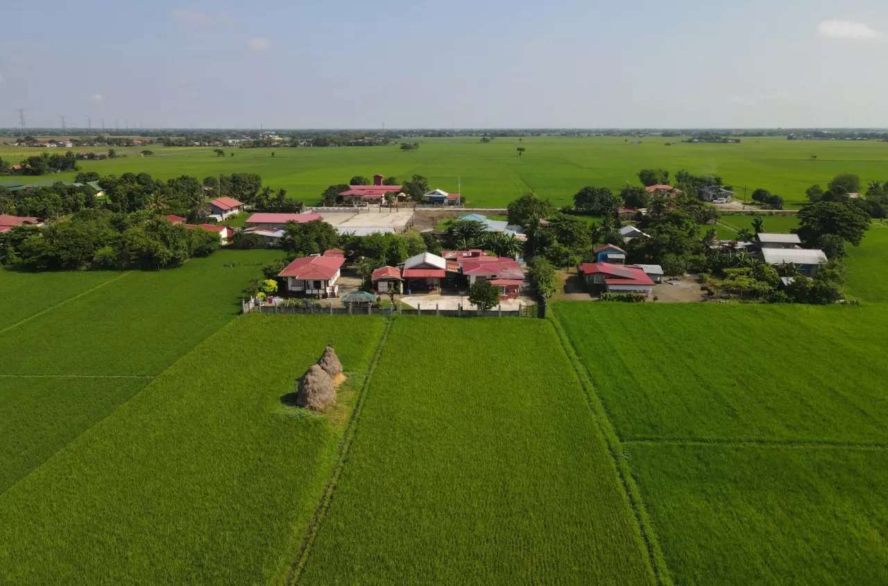 Rolnik kupuje ziemię. Czy żona ma do niej prawo przy rozdzielności z wyrównaniem dorobków?