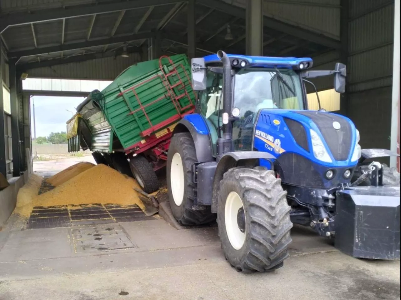 Ceny pszenicy spadły o 1/4, nawozy zdrożały. Rolnicy na minusie