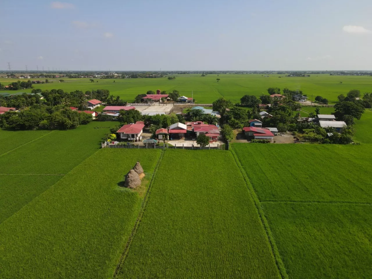 Czy żona otrzyma część gospodarstwa w ramach wyrównania dorobków?