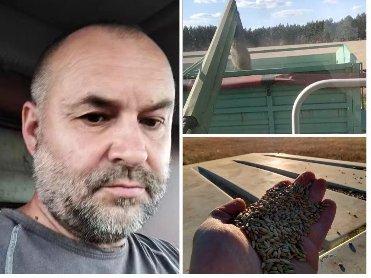 Rolnik wściekły na ceny zbóż. "Nie dam się wydymać, żyto przerobię na mąkę"