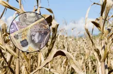 Pomoc suszowa: będzie nowa definicja suszy? Co się zmieni?