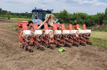 Kiedy siać rzepak ozimy? Terminy siewu w 2025 roku [MAPA]