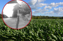 Kamera monitoringu zarejestrowała moment uderzenia w ziemie