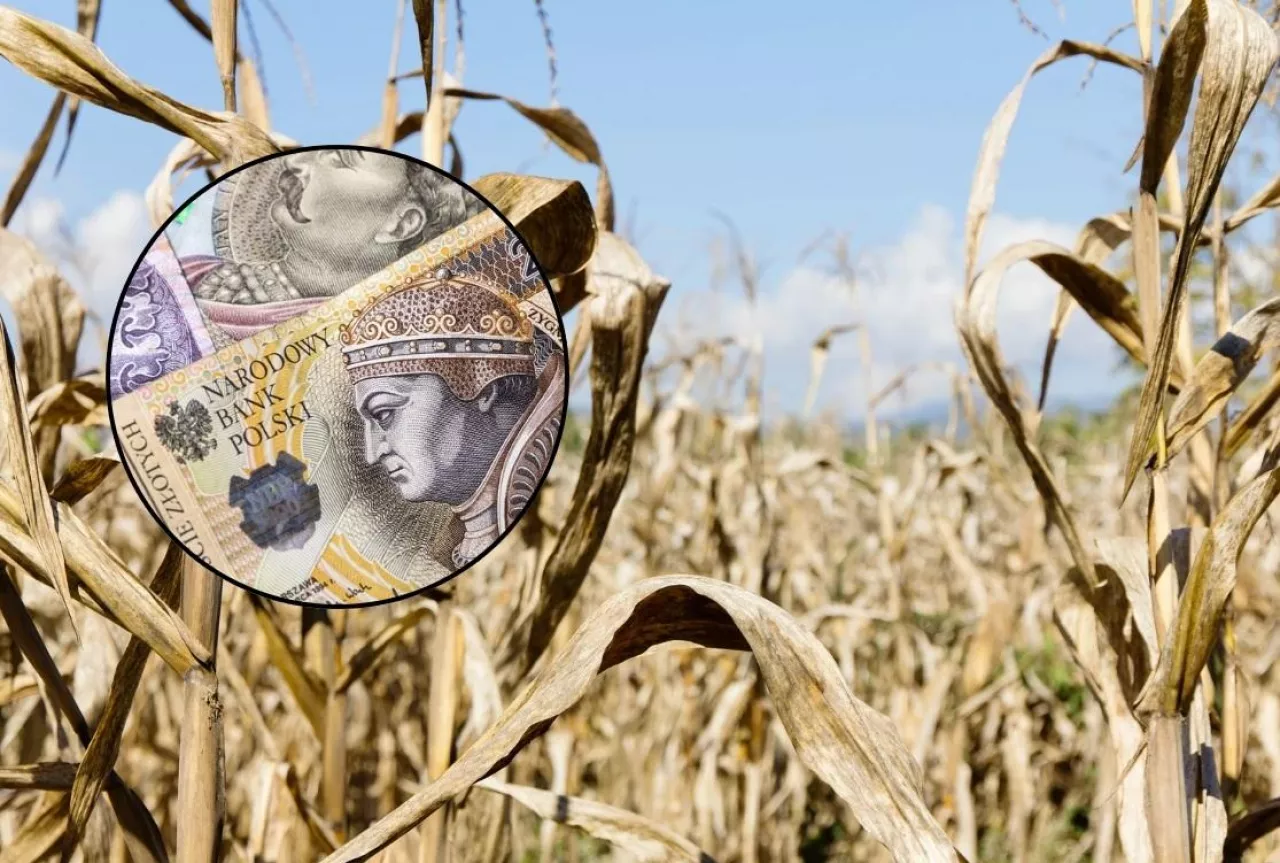 Pomoc suszowa: będzie nowa definicja suszy? Co się zmieni?