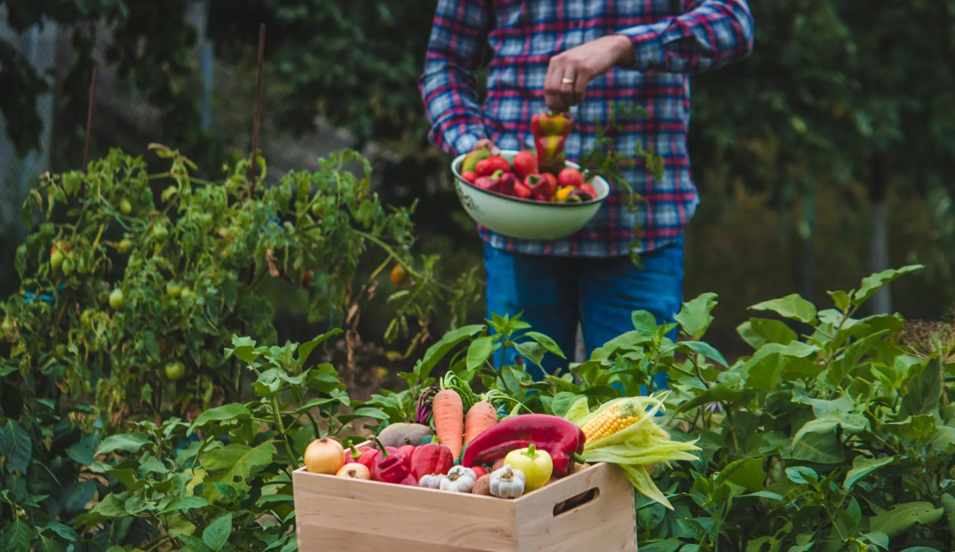 20 hektarów w trzech województwach. Rolnik zdradza, co dziś się najbardziej opłaca