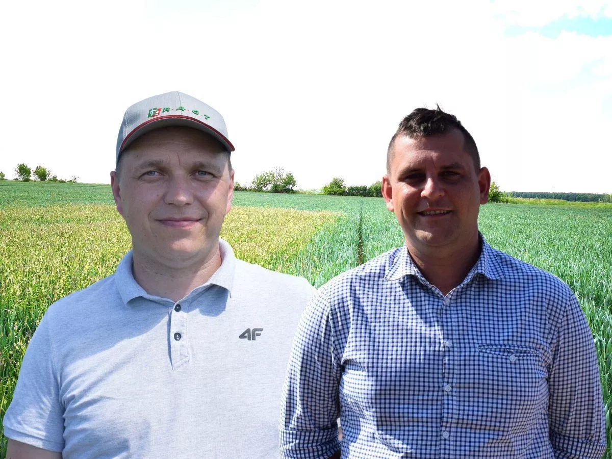 Jak wygrać z wyczyńcem polnym? Rolnicy z Warmii i Mazur mają sposoby