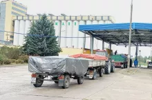 Elewarr zamyka skupy zbóż? Ministerstwo zapowiada działania