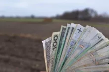 Kto otrzyma dopłaty? Wnioskujący rolnik czy jego następca prawny?