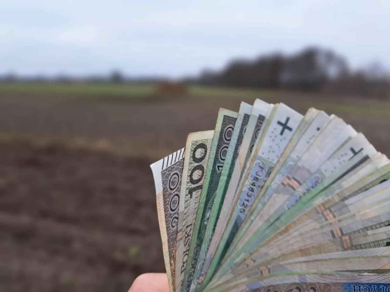 Kto otrzyma dopłaty? Wnioskujący rolnik czy jego następca prawny?