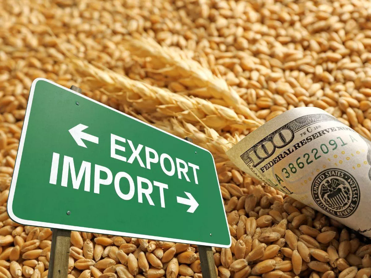 Polska liderem importu z Ukrainy. Kupiliśmy towary rolne za 5 miliardów dolarów