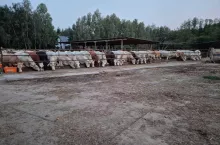 „Mam sylwestra co miesiąc”. Huk strzelnicy przeraża bydło i cielęta