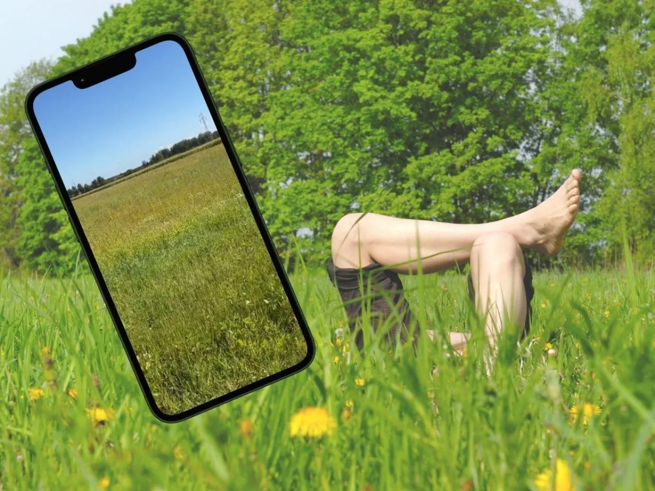 Rolnik z Podlasia pokazuje ”pole pod dopłaty”