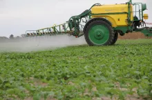 Czym zwalczać chwasty w rzepaku ozimym jesienią?