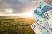 Dzierżawa na nowych zasadach. Właściciel będzie decydował, co zasieje rolnik?
