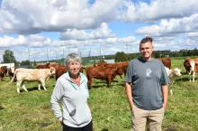 Rolnicy na tle bydła