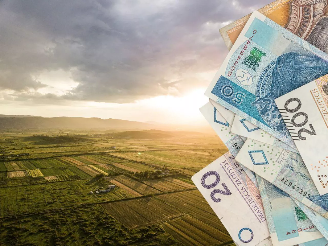 Dzierżawa na nowych zasadach. Właściciel będzie decydował, co zasieje rolnik?