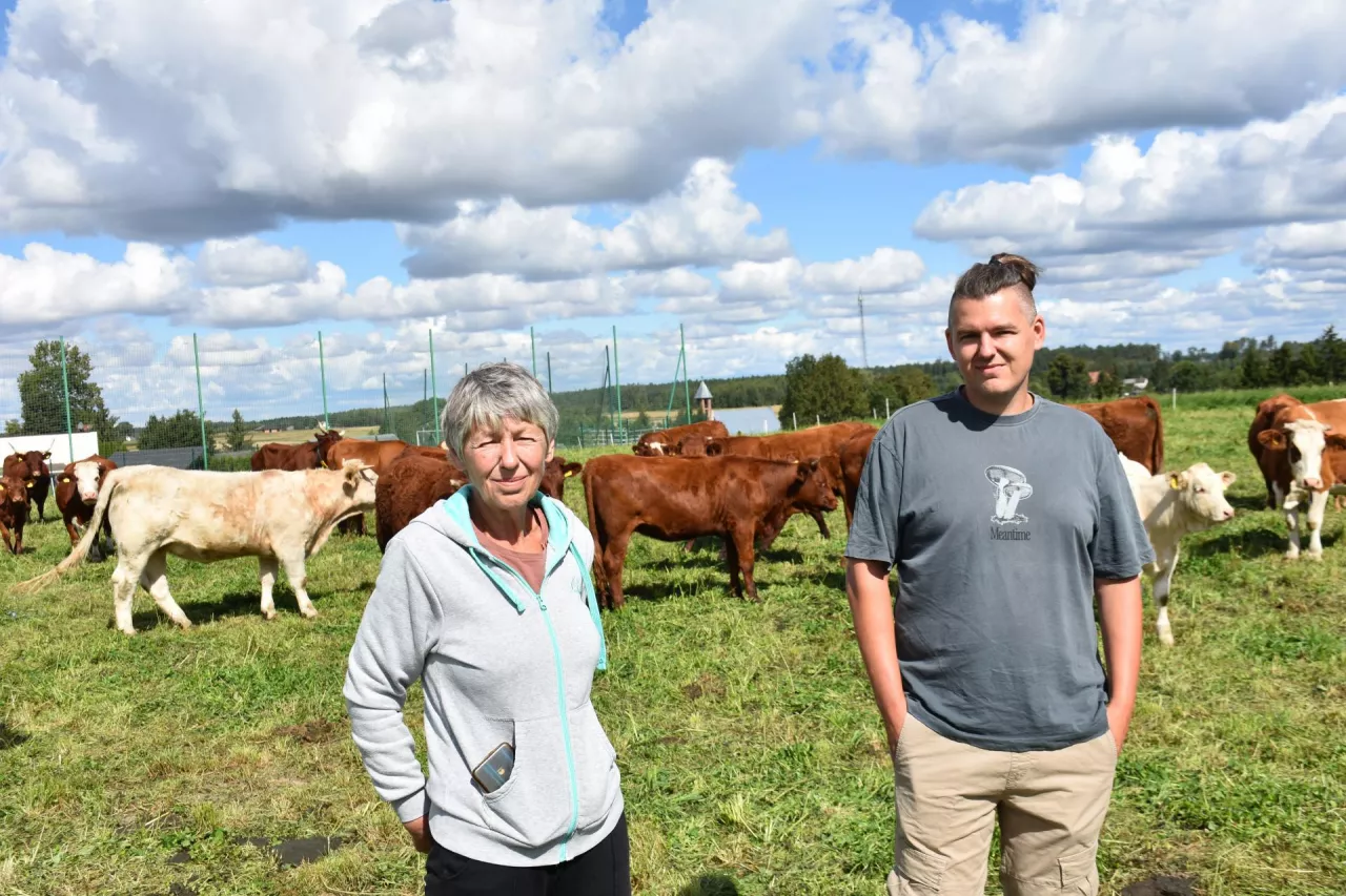 Rolnicy na tle bydła