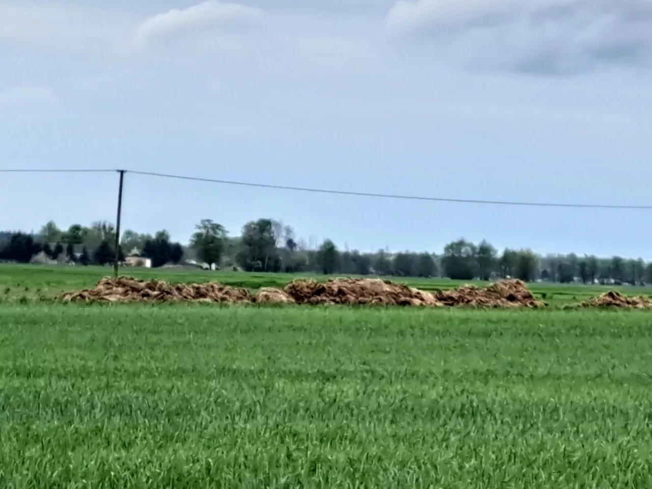 Rolnikom, którzy utrzymują od 21 do 210 DJP na budowę płyty obornikowej lub jej powiększenie zostało niewiele czasu